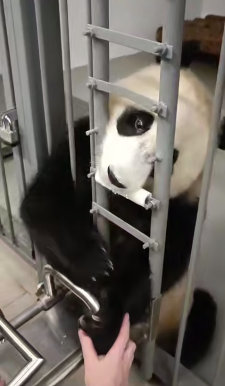 Катюша на тренинге. Источник: t.me/svetlanaakulova1 Автор фото: Скриншот видео📷
