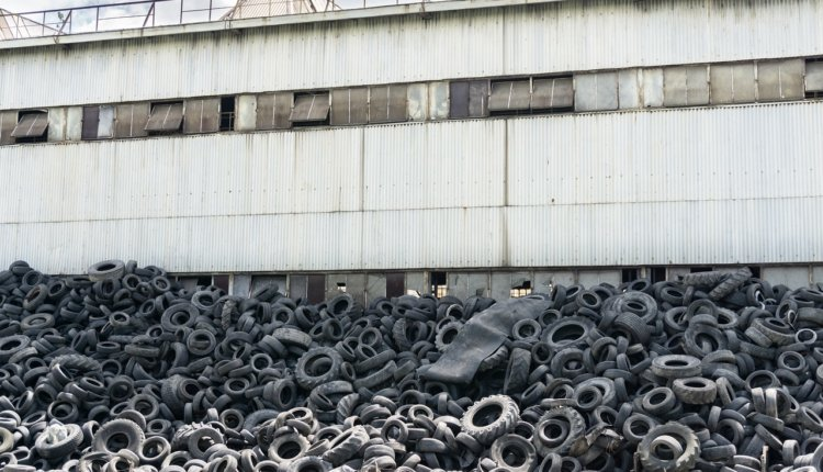 Источник новости: https://nia.eco/2024/12/17/95357/