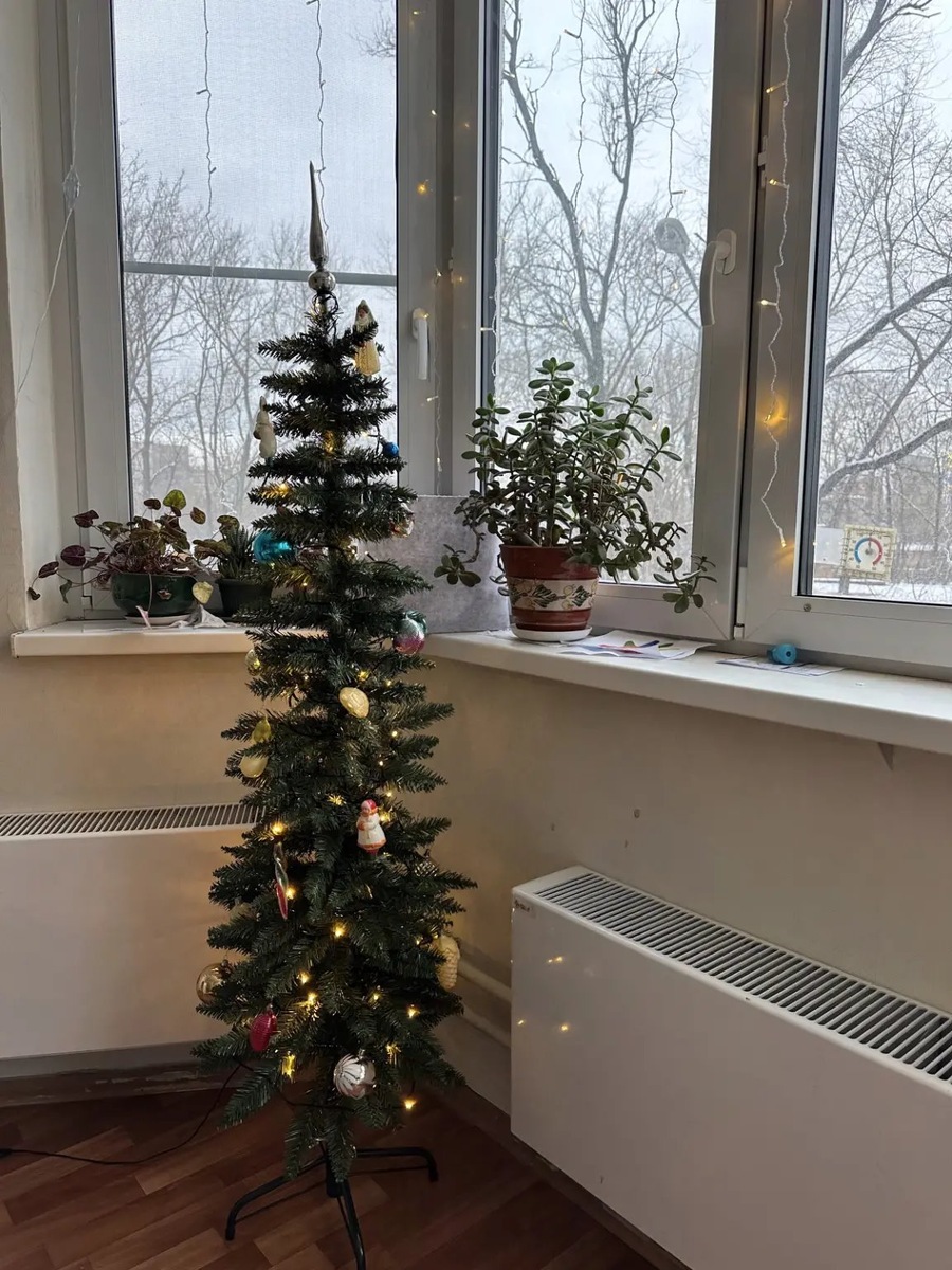 В этом году нашу ёлку ещё не фоткала, поэтому ловите прошлогодние кадры.