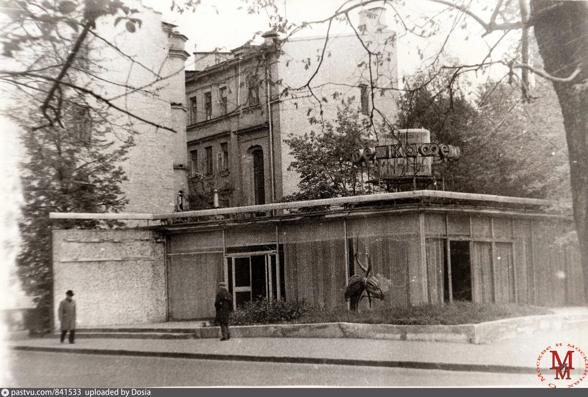 Старое кафе с аистами. Улица Малая Бронная, 14. Из архива Дмитрия Кошлаков-Крестовского.