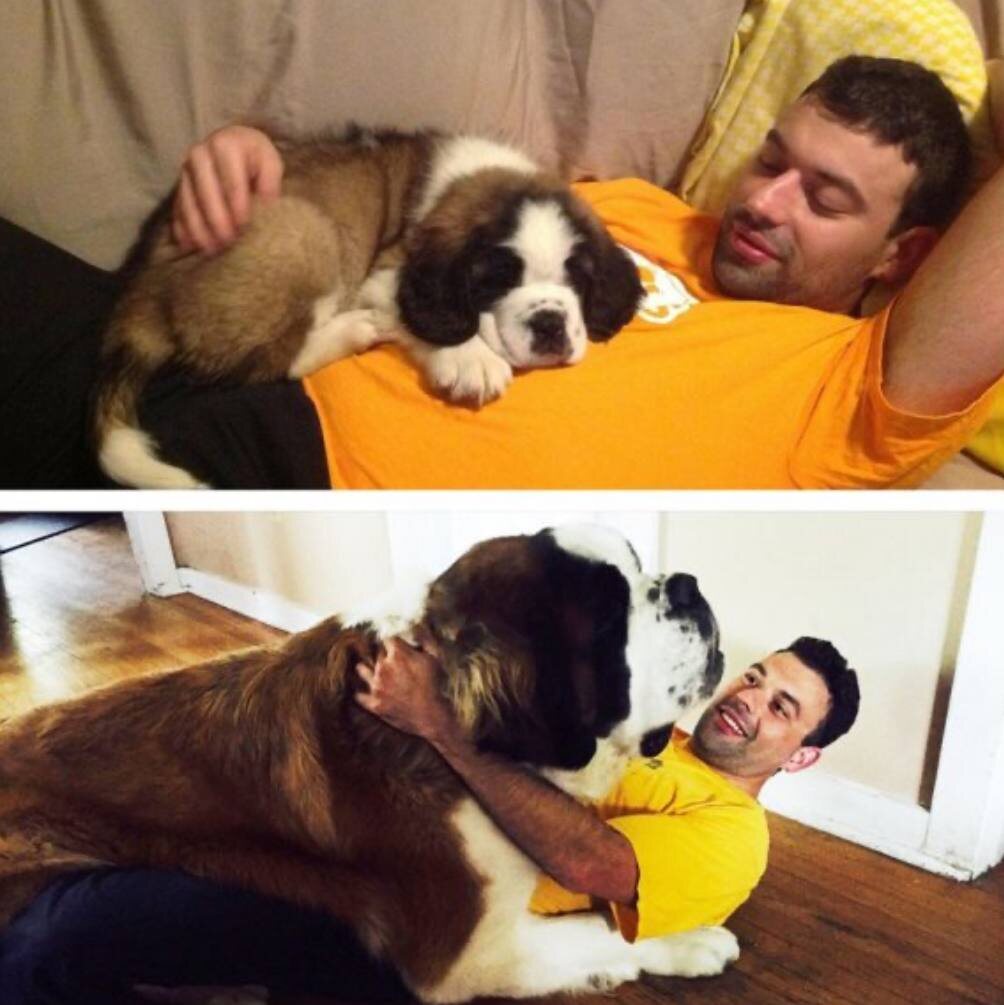 Источник Яндекс Картинки.