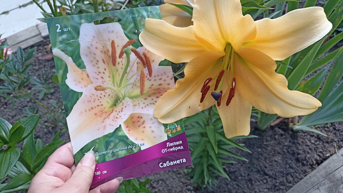 Листайте галерею