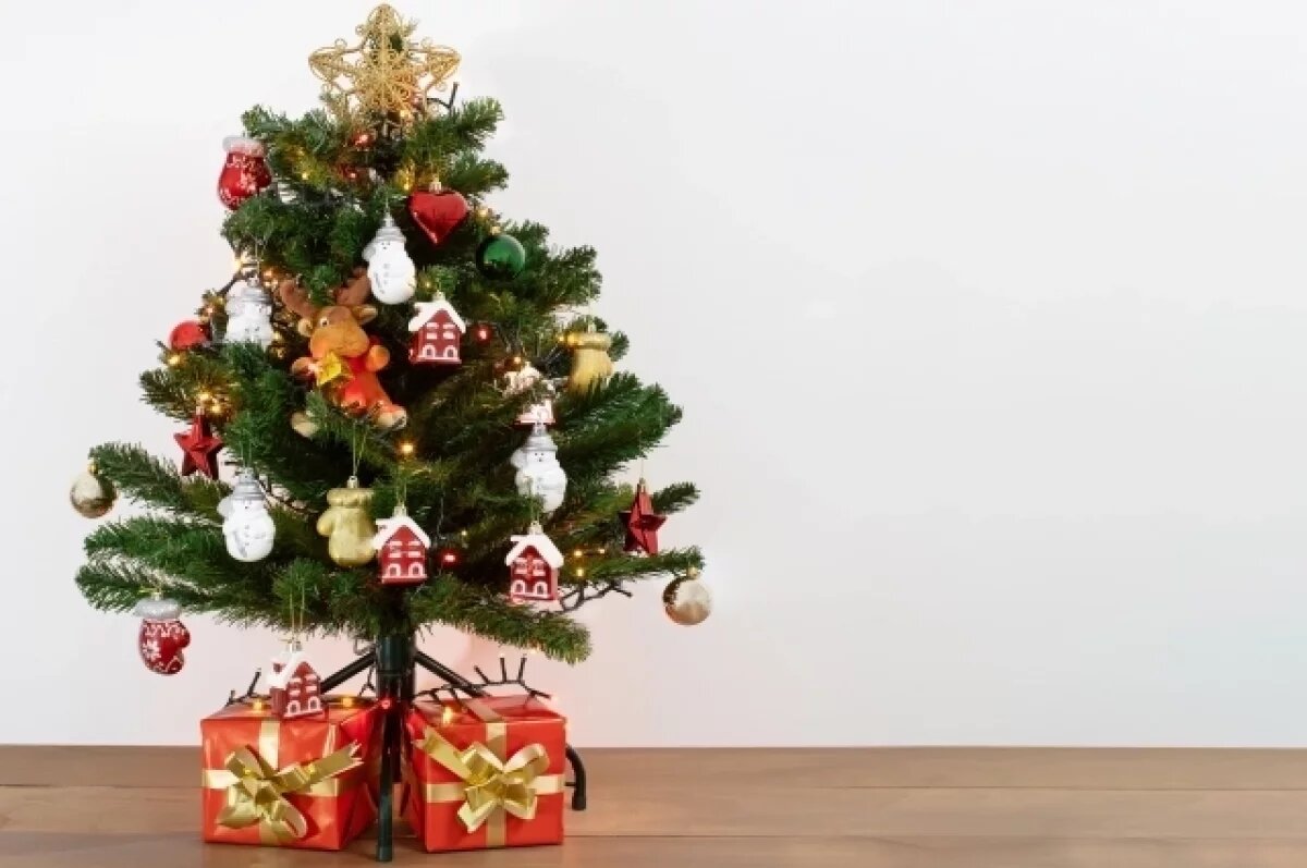    Хабаровчанам рассказали, какие ёлки несут опасность для дома