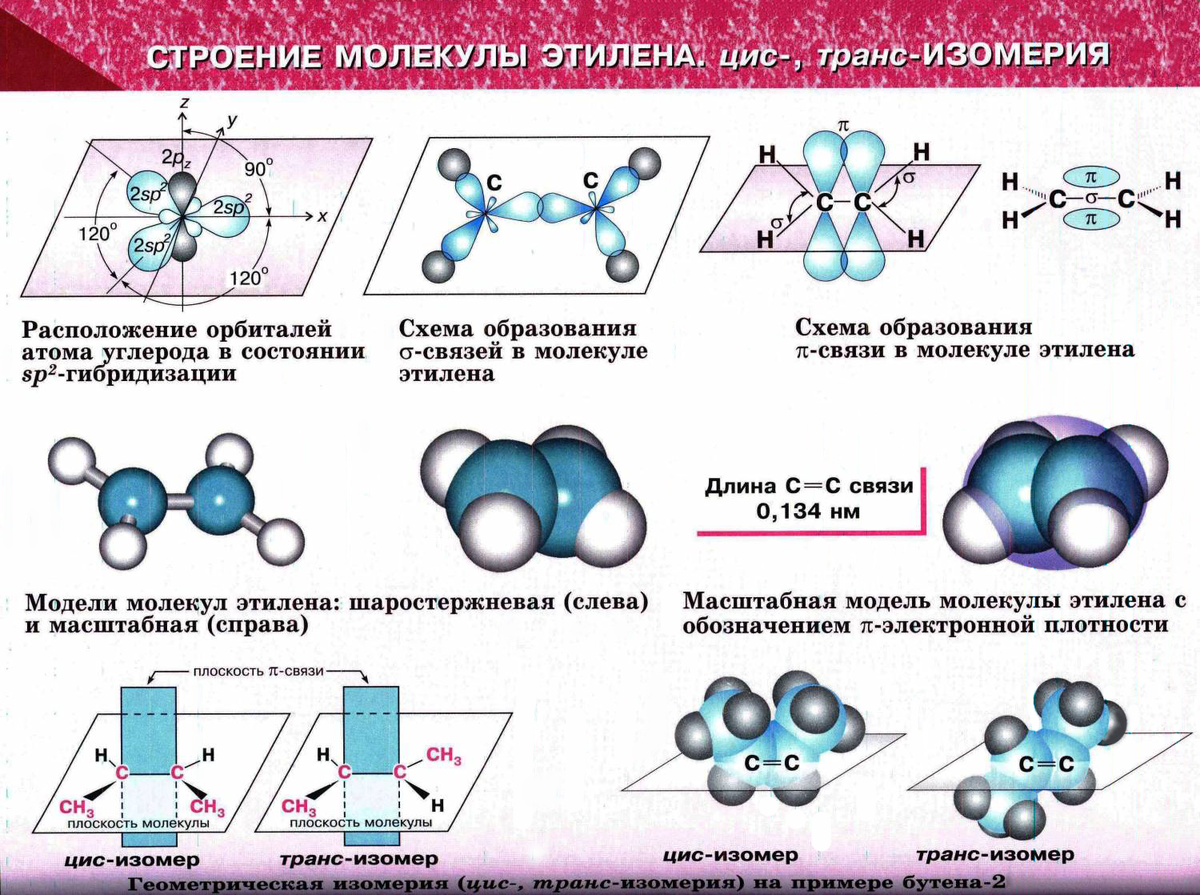 Строение молекулы этилена 