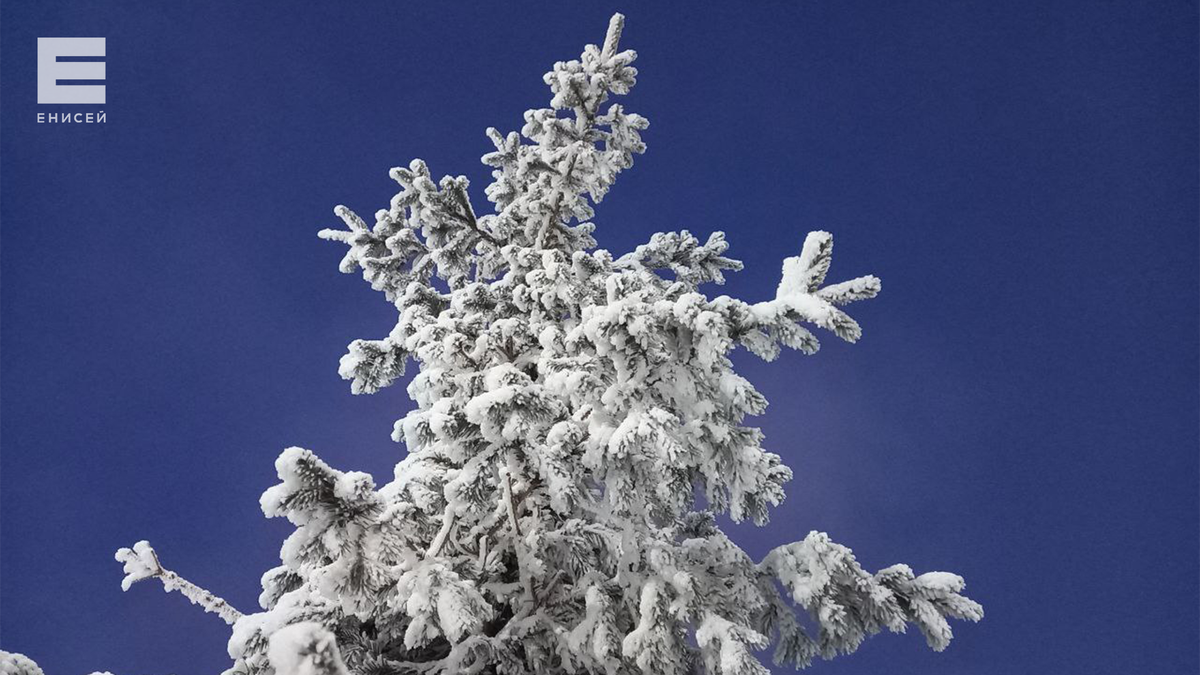     Последняя неделя декабря в Красноярске будет прохладной, но малоснежной