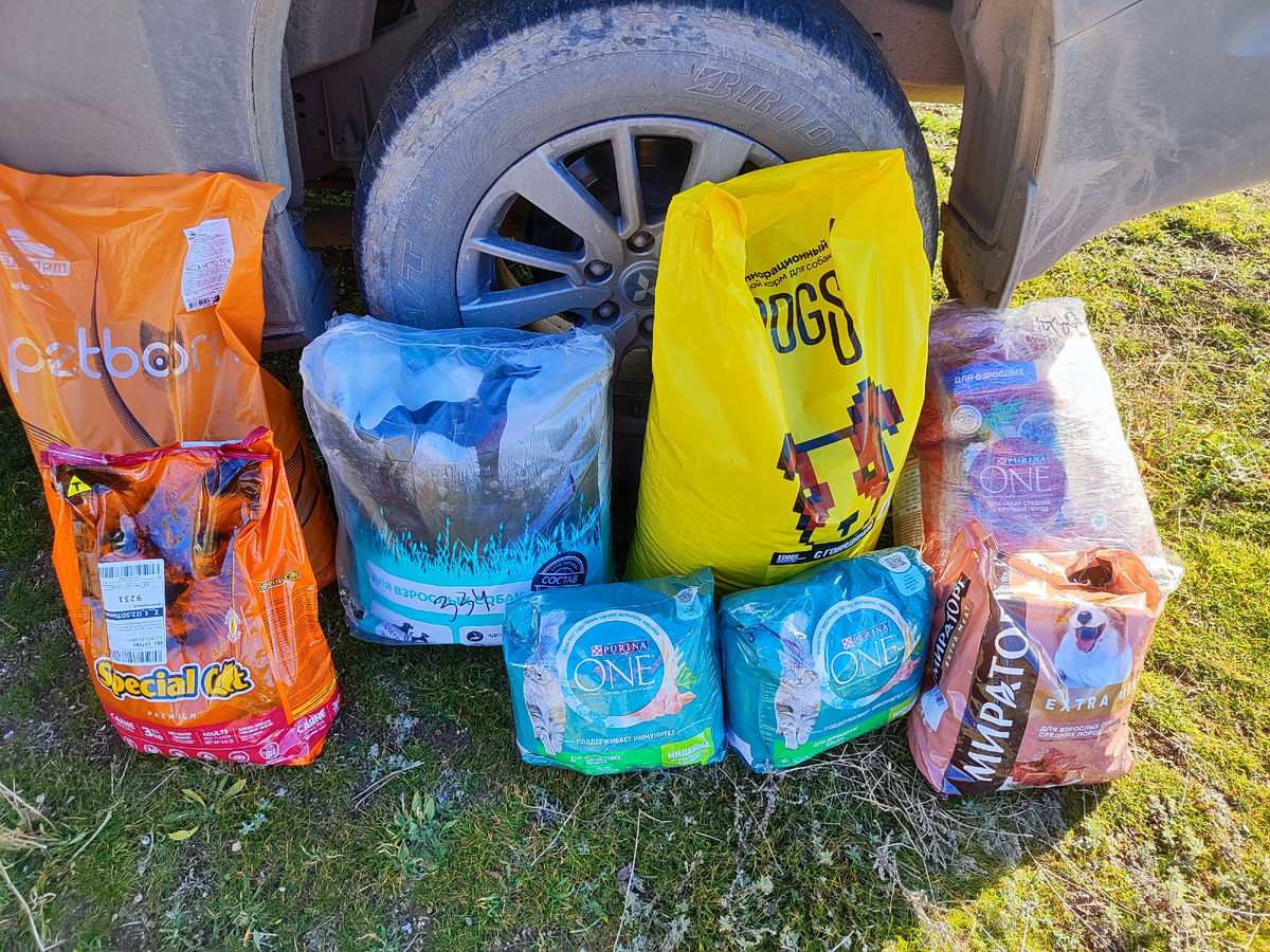 Подарки причальным котикам и собачкам