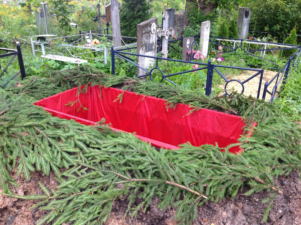 картинка из свободного источника.