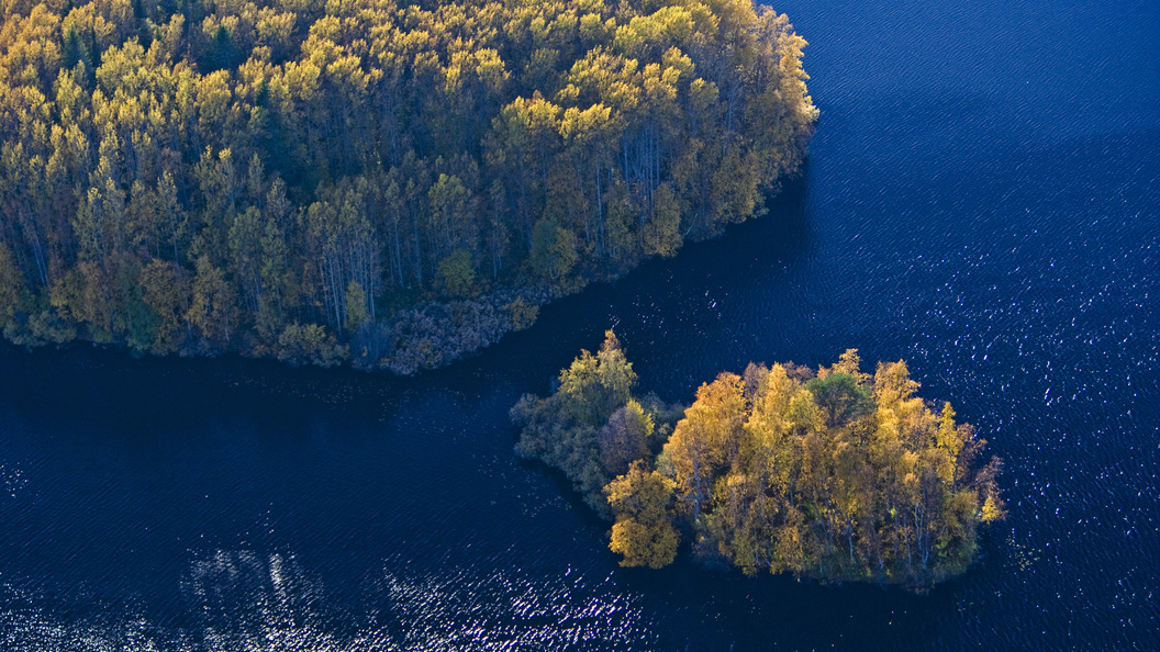    фото: Serguei Fomine/Russian Look/Globallookpress