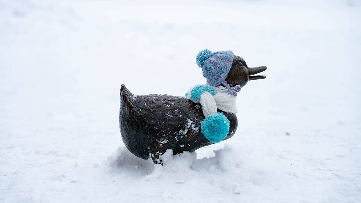    Фото: Андрей Мишин / Вечерняя Москва