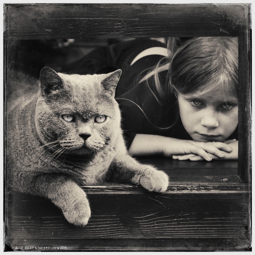 ФОТОГРАФИИ ОТ АНДРЕЯ ПРОХОРОВА / ANDY PROKH ИЗ ЕГО СЕРИИ "ДРУЖБА ДЕВОЧКИ С КОШКОЙ "
