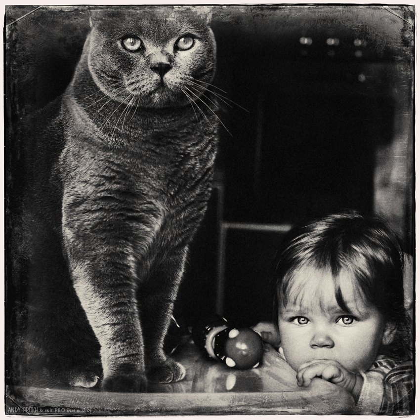 ФОТОГРАФИИ ОТ АНДРЕЯ ПРОХОРОВА / ANDY PROKH ИЗ ЕГО СЕРИИ "ДРУЖБА ДЕВОЧКИ С КОШКОЙ "