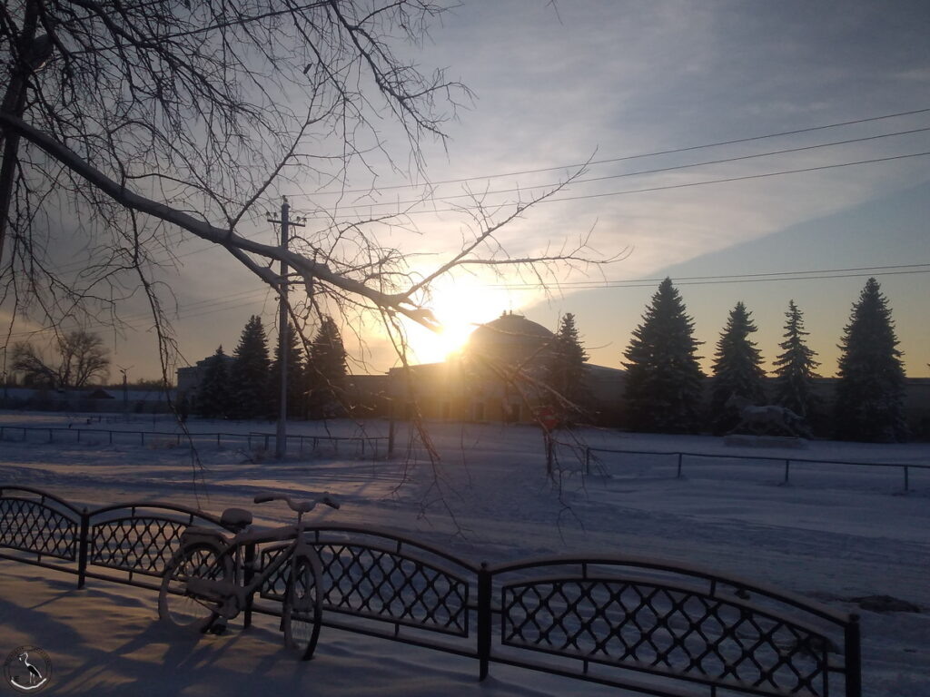    Конезавод, солнце и снег. 12.12.24 Анна Власова