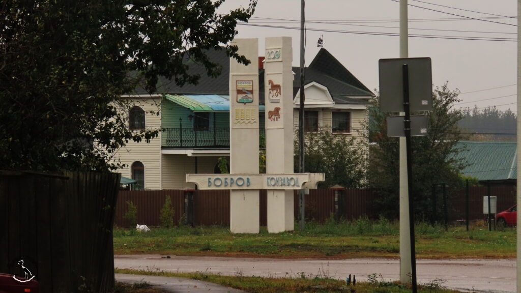    Указатель. Анна Власова