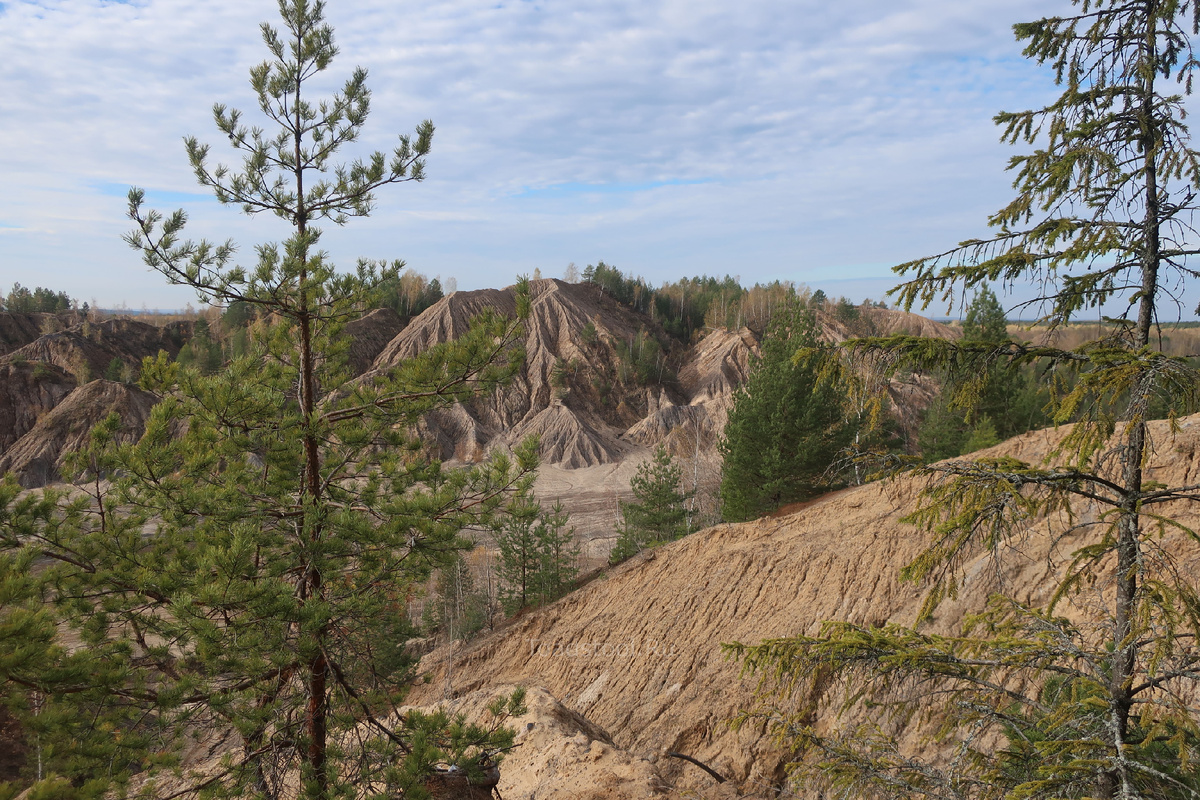 В Тульской области можно встретить и такие пейзажи (фото И.Лебединского)