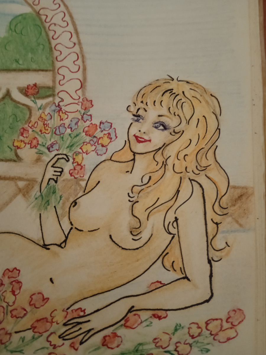 иллюстрации из книжки.