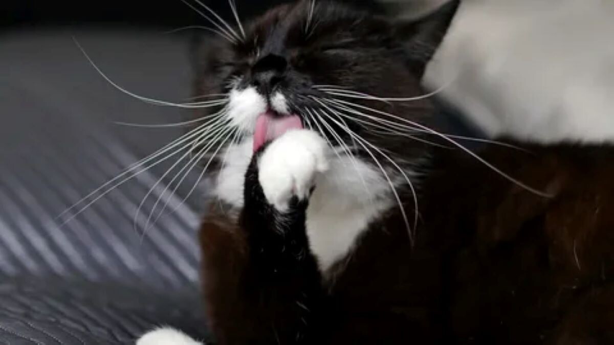 Яндекс картинки, фото отсюда goodfon.ru