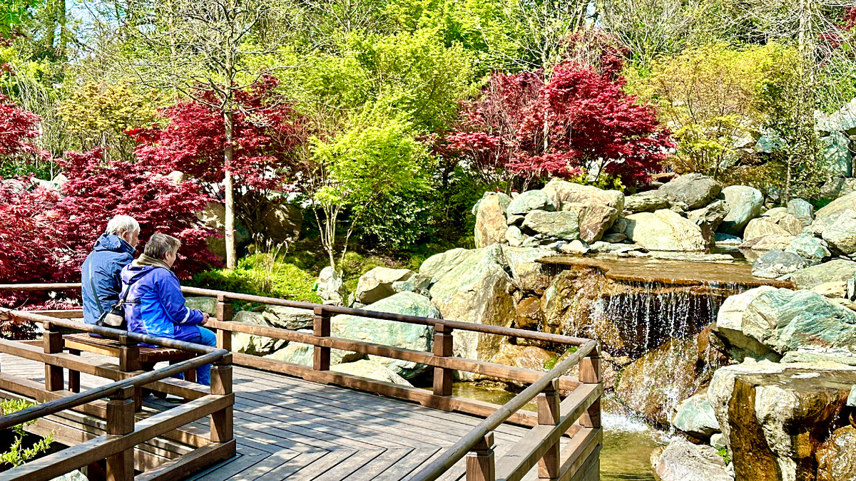 Самые перспективные станицы Краснодарского края в 2025 году