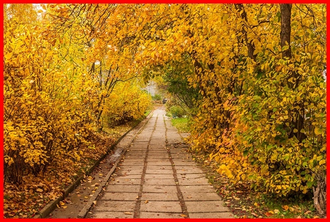 По дорожкам. выстланым плиткой Саша в этом пансионате выгуливала своего Друга.