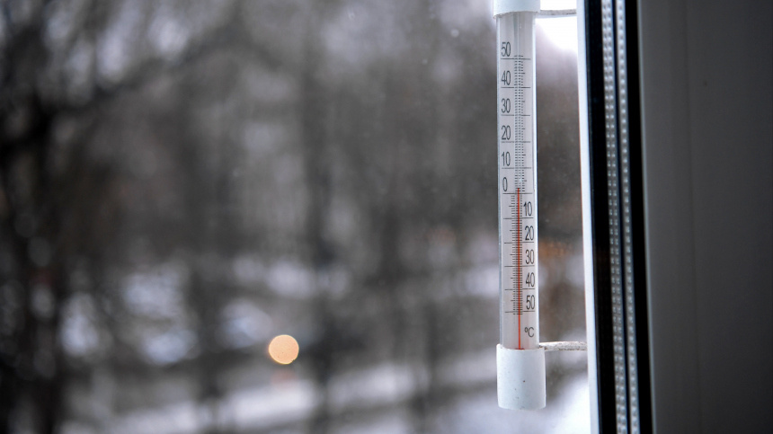    Фото: © РИА Новости/Екатерина Чеснокова