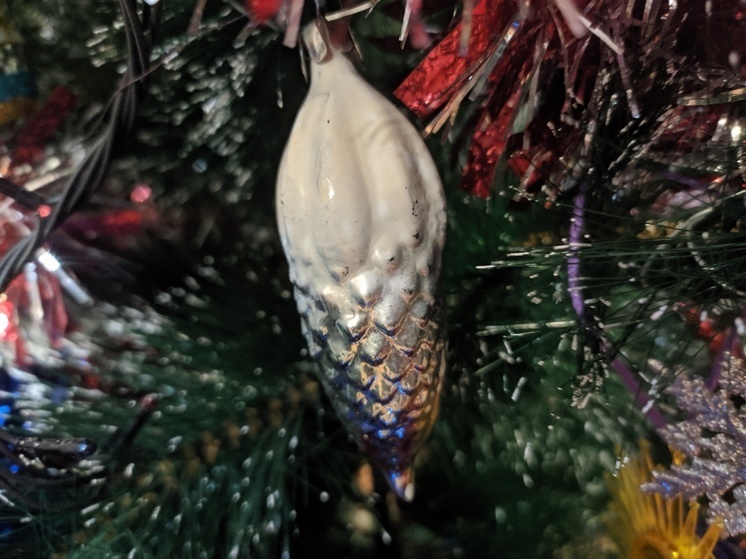     фото: мк в вологде