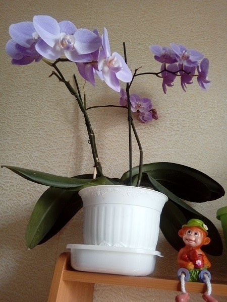 в моей коллекции 2023г