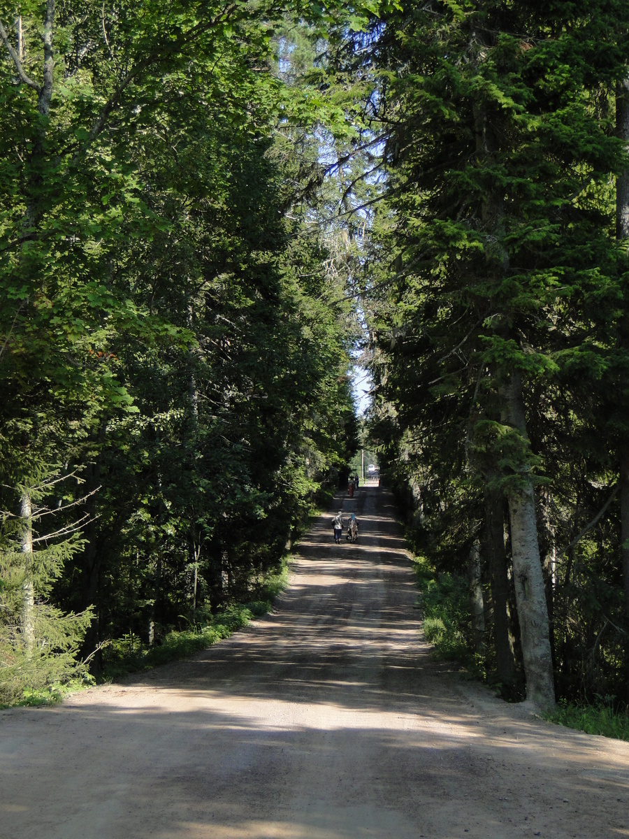 Валаам. Главная дорога