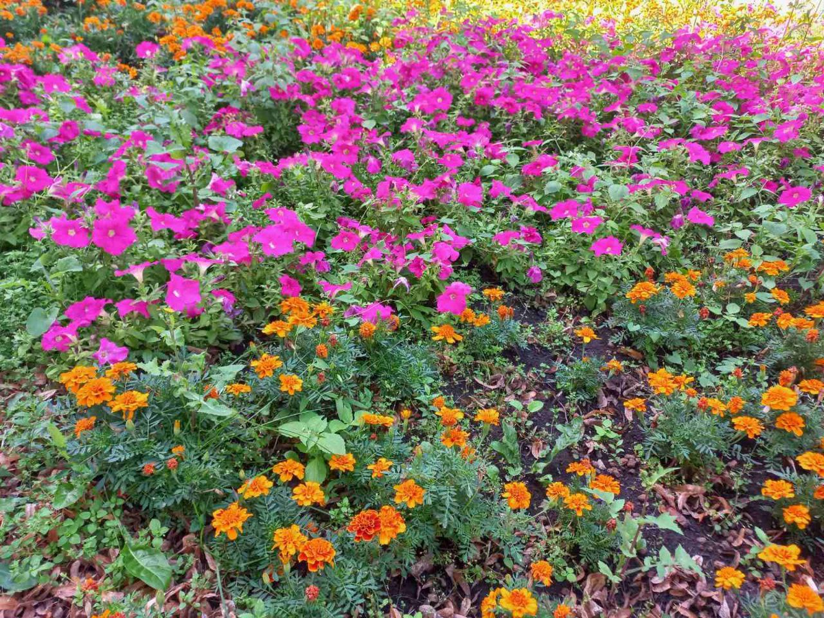 Фото автора.