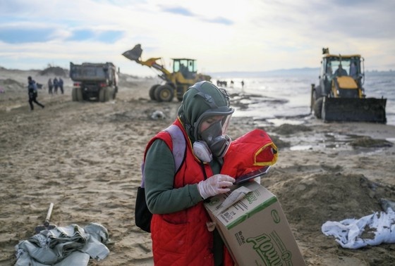    Волонтеры собирают мазут на пляже после крушения двух танкеров «Волгонефть-212» и «Волгонефть-239»