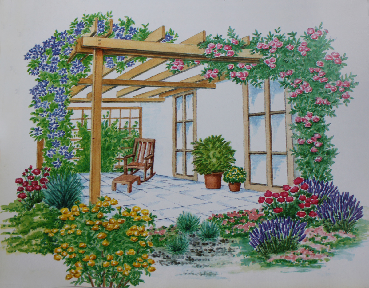 Пергола, патио