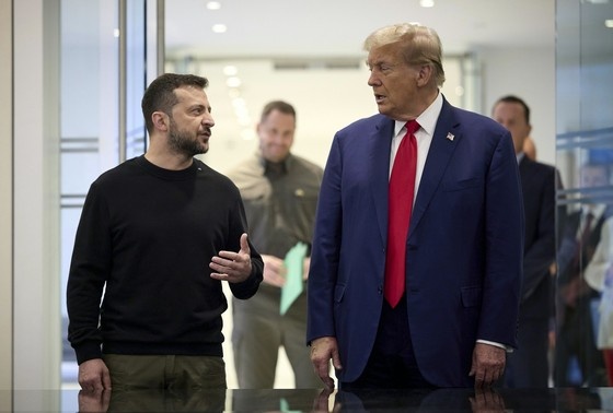    Владимир Зеленский и Дональд Трамп