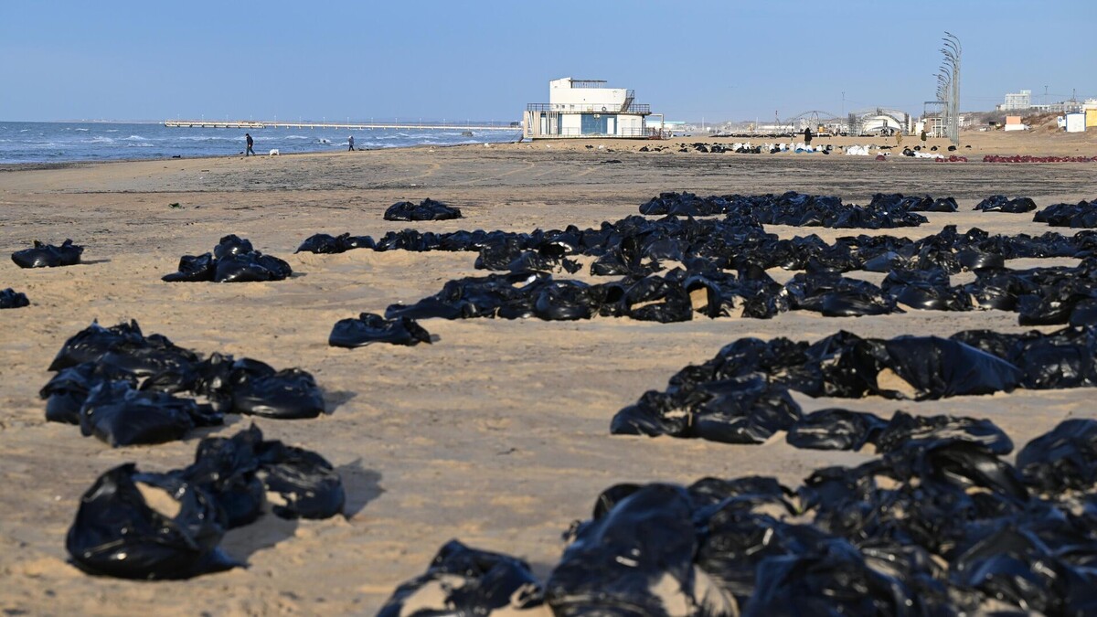 Берег Чёрного моря