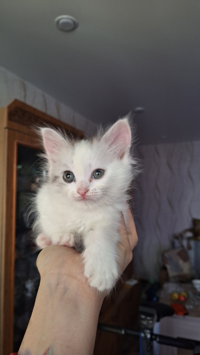 Фото автора. 