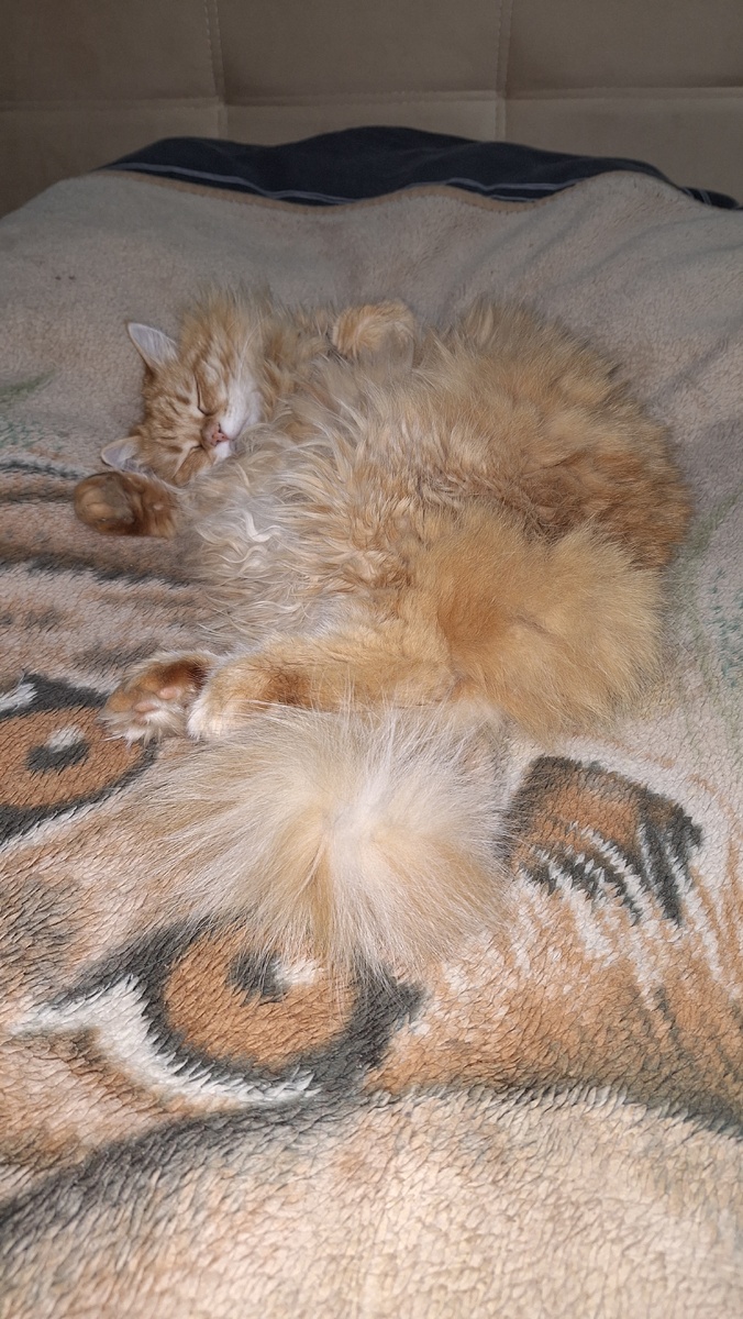 Фото автора. 