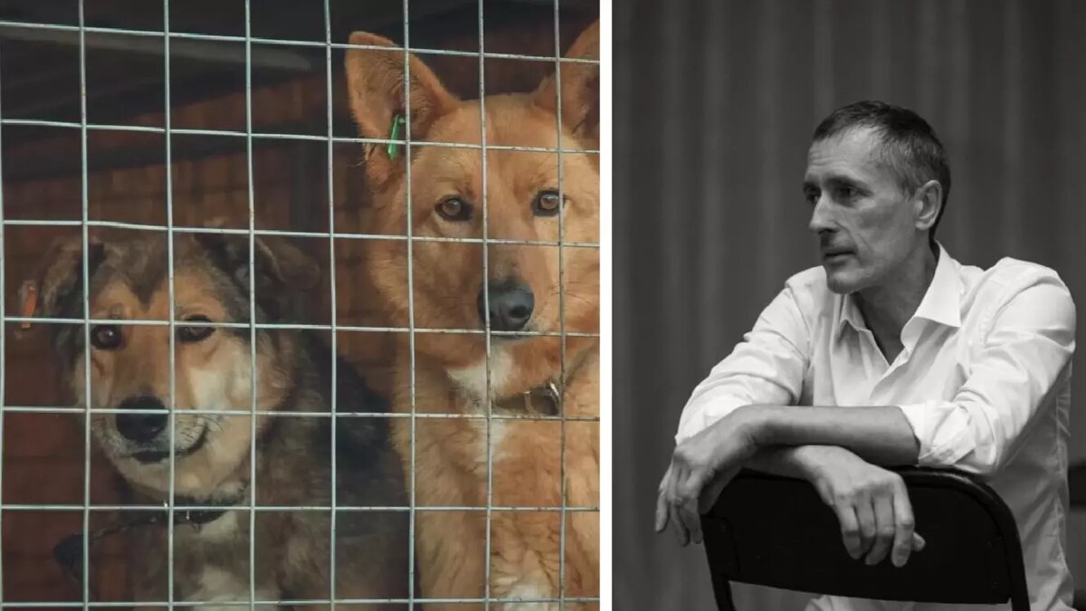     Источник: 1MI / t.me/AVKulesh