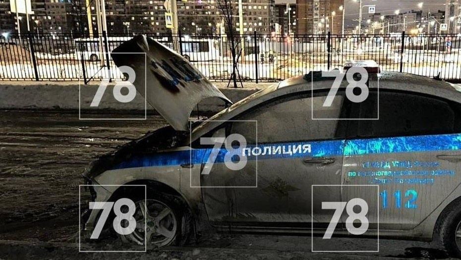    Автор фото: 78.ru