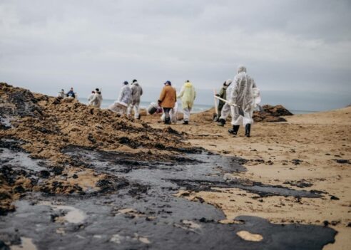 Фото: Эльвира Мясищева, «Краснодарские известия»📷


📷


📷


📷


📷


📷


📷


📷

