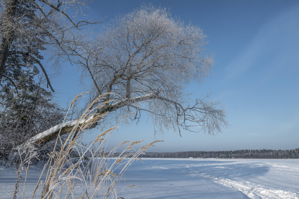А У НАС НА ВОЛГЕ... 