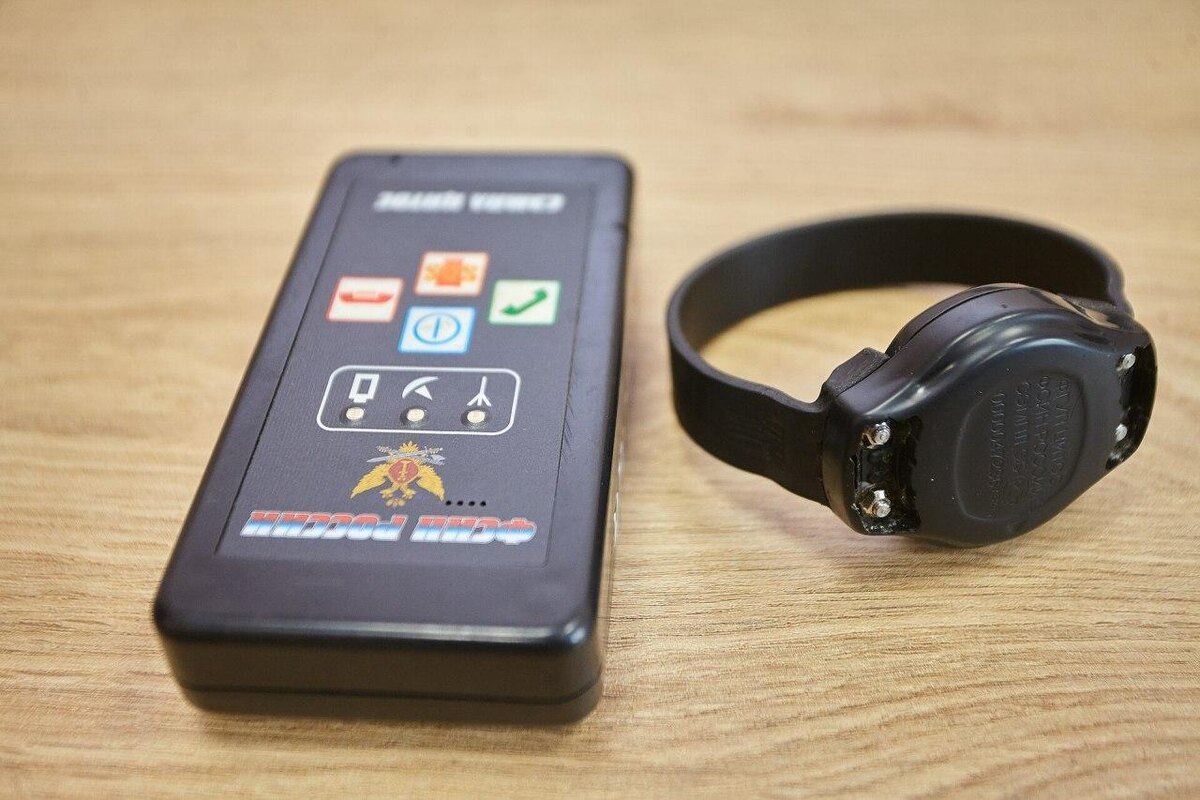    Фото: МВД-Медиа