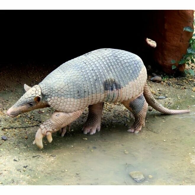 Картинка из свободных источников