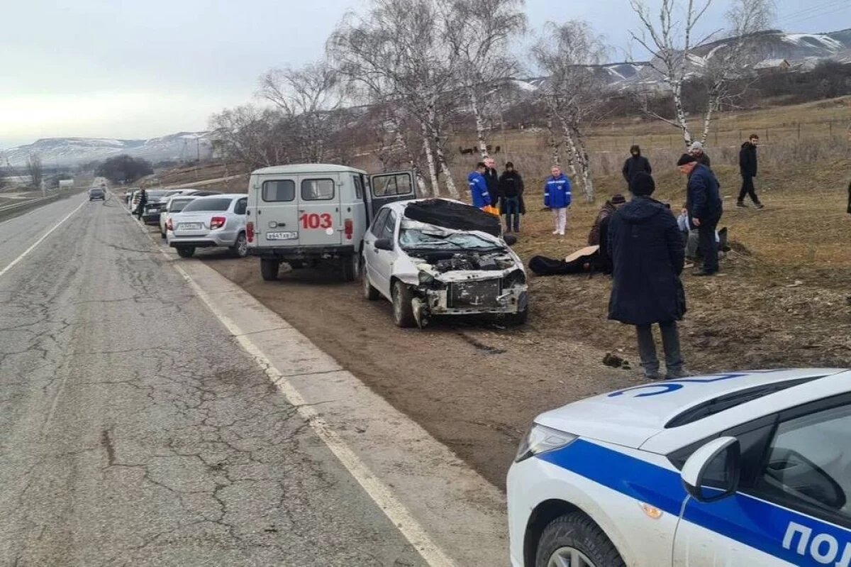    На Ставрополье житель КЧР на высокой скорости сбил лошадь и погиб