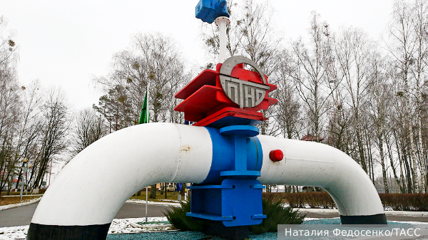     Фото: Наталия Федосенко/ТАСС   
 Текст: Дарья Григоренко