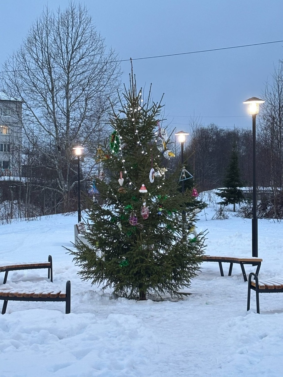    Фото: Администрация Лахденпохского района