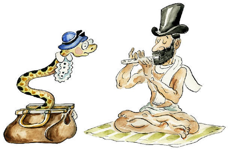 Источник Яндекс картинки