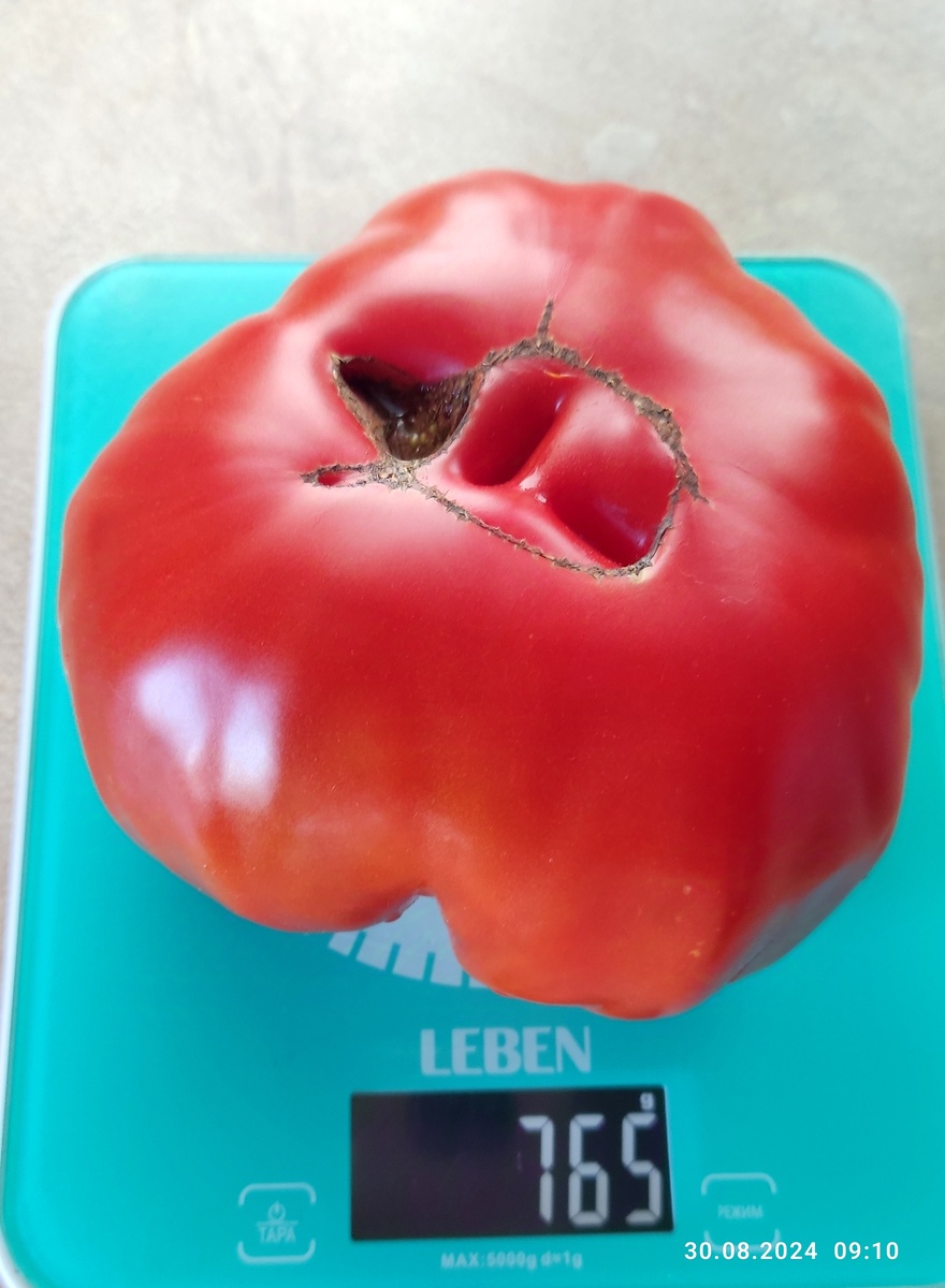 Ну батенька, видали и поболе ))