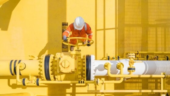    Поставки нефти из России в Венгрию по "Дружбе" возобновились Ирина Петрова