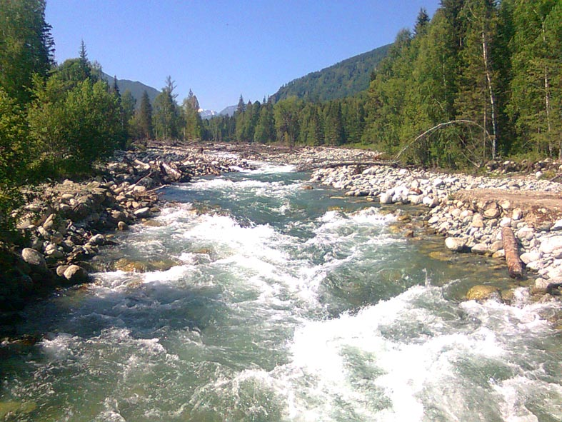 Река Мульта, берущая начало из Мультинских озер