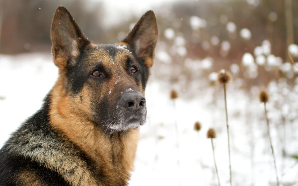 Яндекс.картинки для обложки 