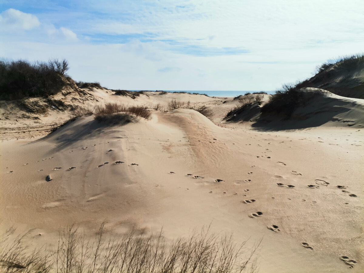 Витязево зимой. Фото из личного архива.