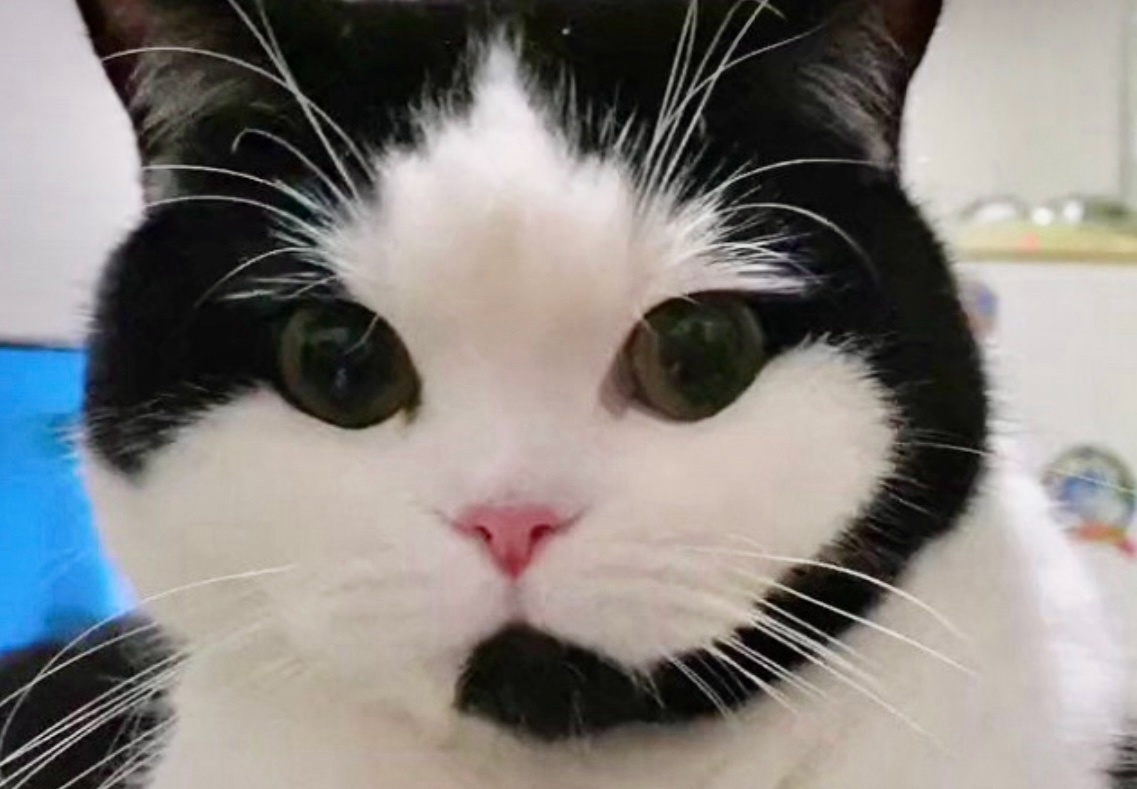 Кхм, кхм...раз-раз. как меня слышно? ->->->