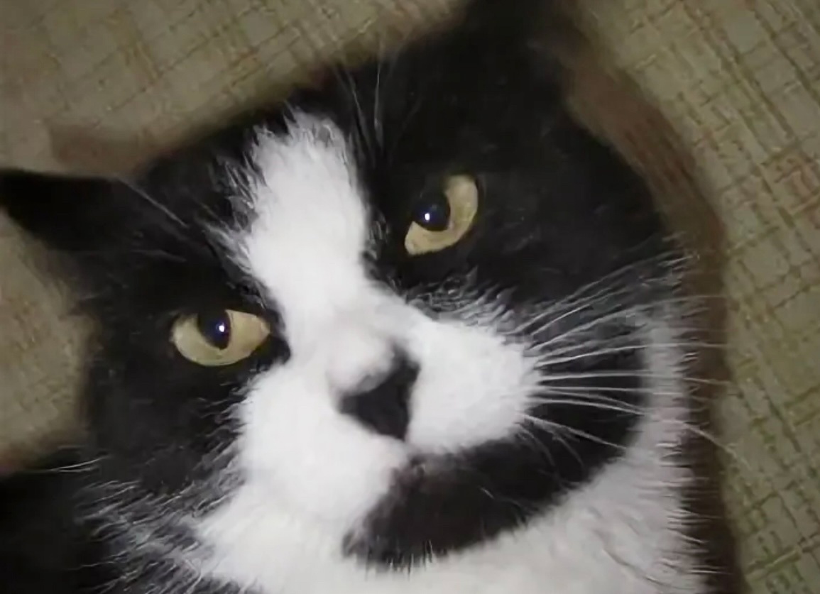 Оператор Ольга на связи, я вас внимательно слушаю